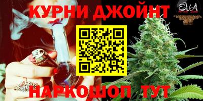 гидра Донецк