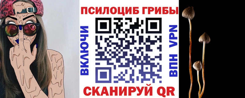 Галлюциногенные грибы мицелий  Партизанск 
