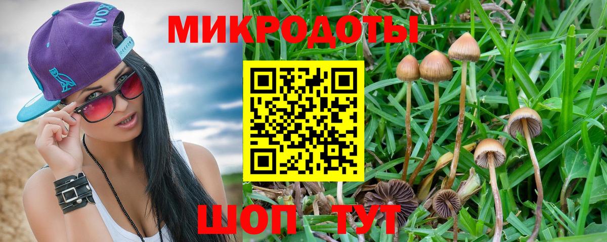 Галлюциногенные грибы мицелий Партизанск