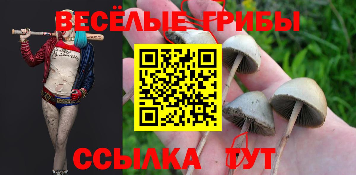 Псилоцибиновые грибы мухоморы  Вход с VPN  Партизанск  Галлюциногенные грибы Cubensis 